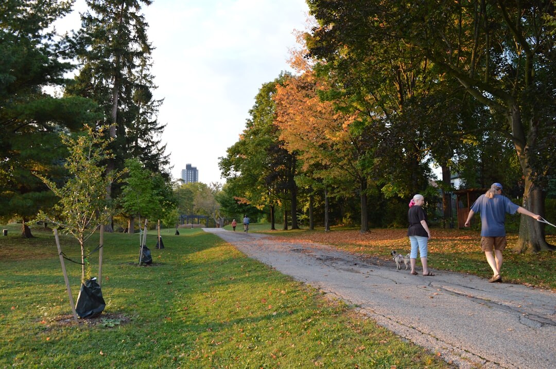 couple walking in park